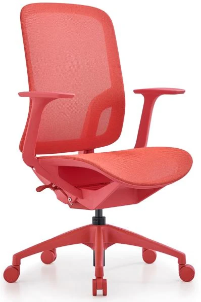 DHX-206BG product view 3