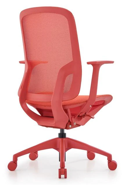 DHX-206BG product view 4