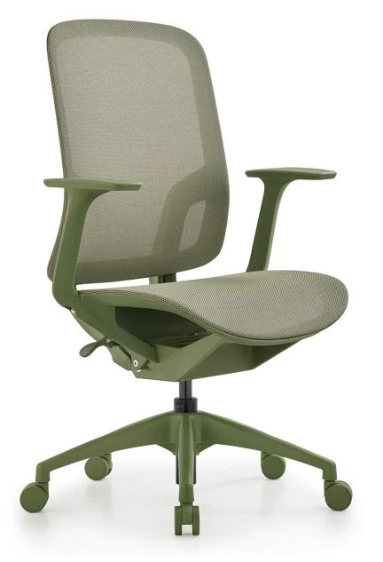 DHX-206BG product view 5