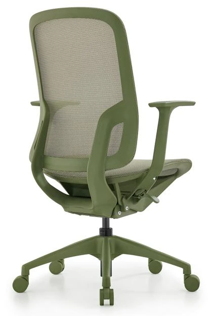 DHX-206BG product view 6