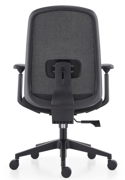 DHX-AB-BB product view 2