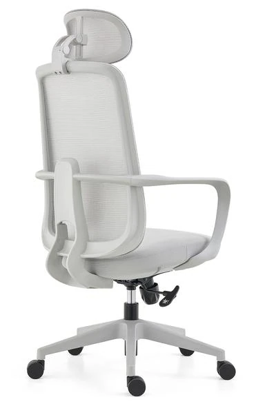 DHX-AG-BG product view 2