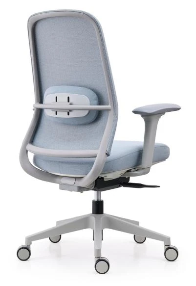 DHX-BG product view 2