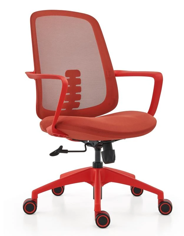 DHX-QT-CW product view 3
