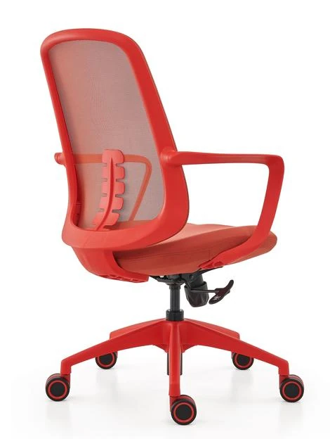DHX-QT-CW product view 4