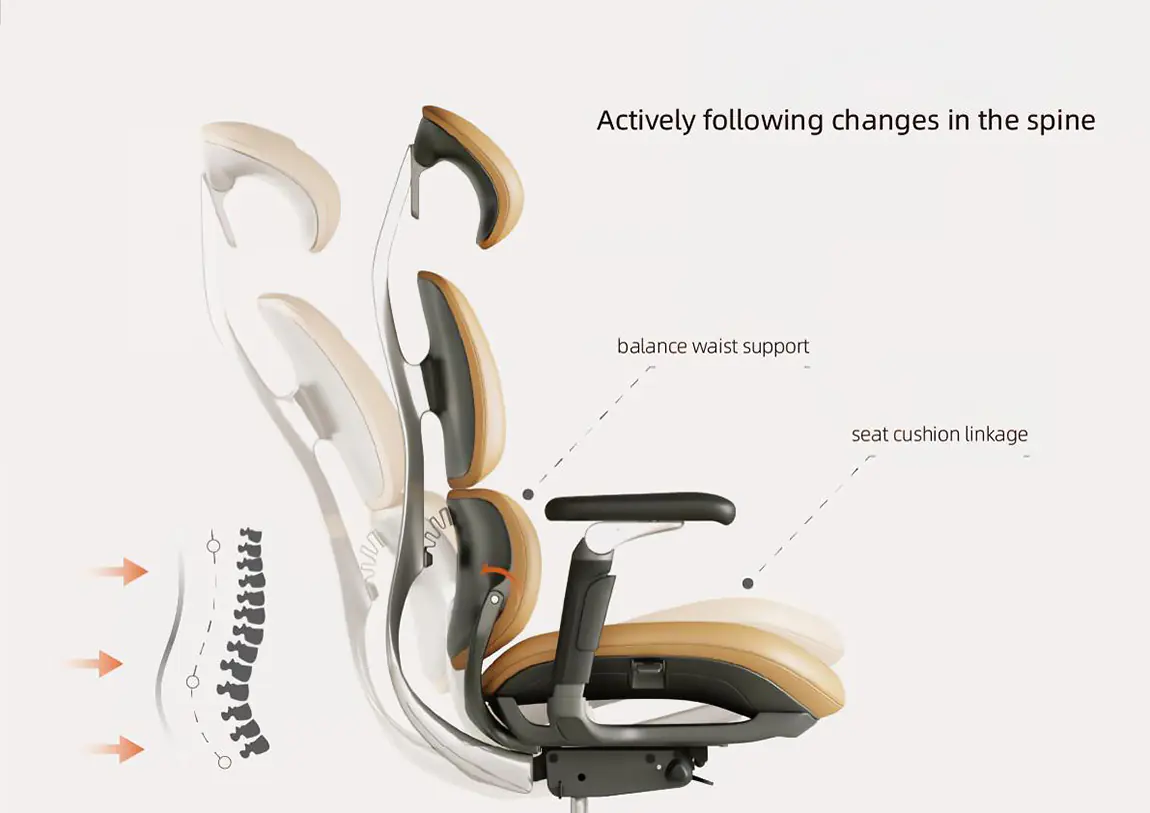 Dynamic office chair back and lumbar support following spinal movement