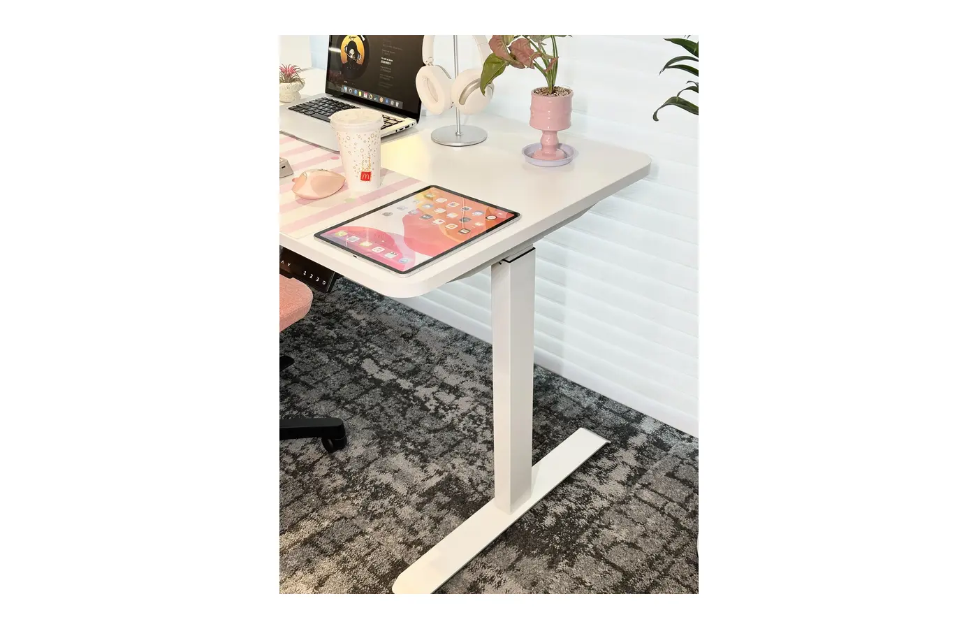 GC-P01D-1 Single Electric Height-Adjustable Desk, product view 6
