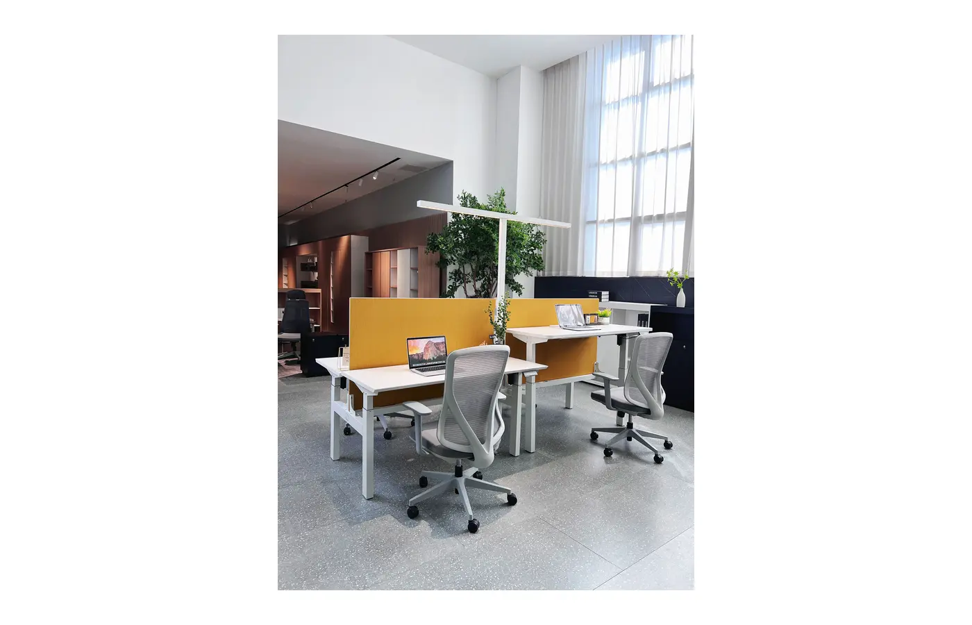 GC-P01D-2 Dual Electric Height-Adjustable Bench Desk, product view 4