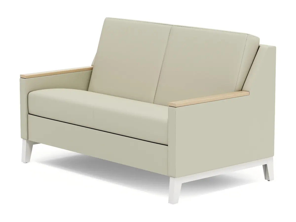 LD25-13 medical companion sofa