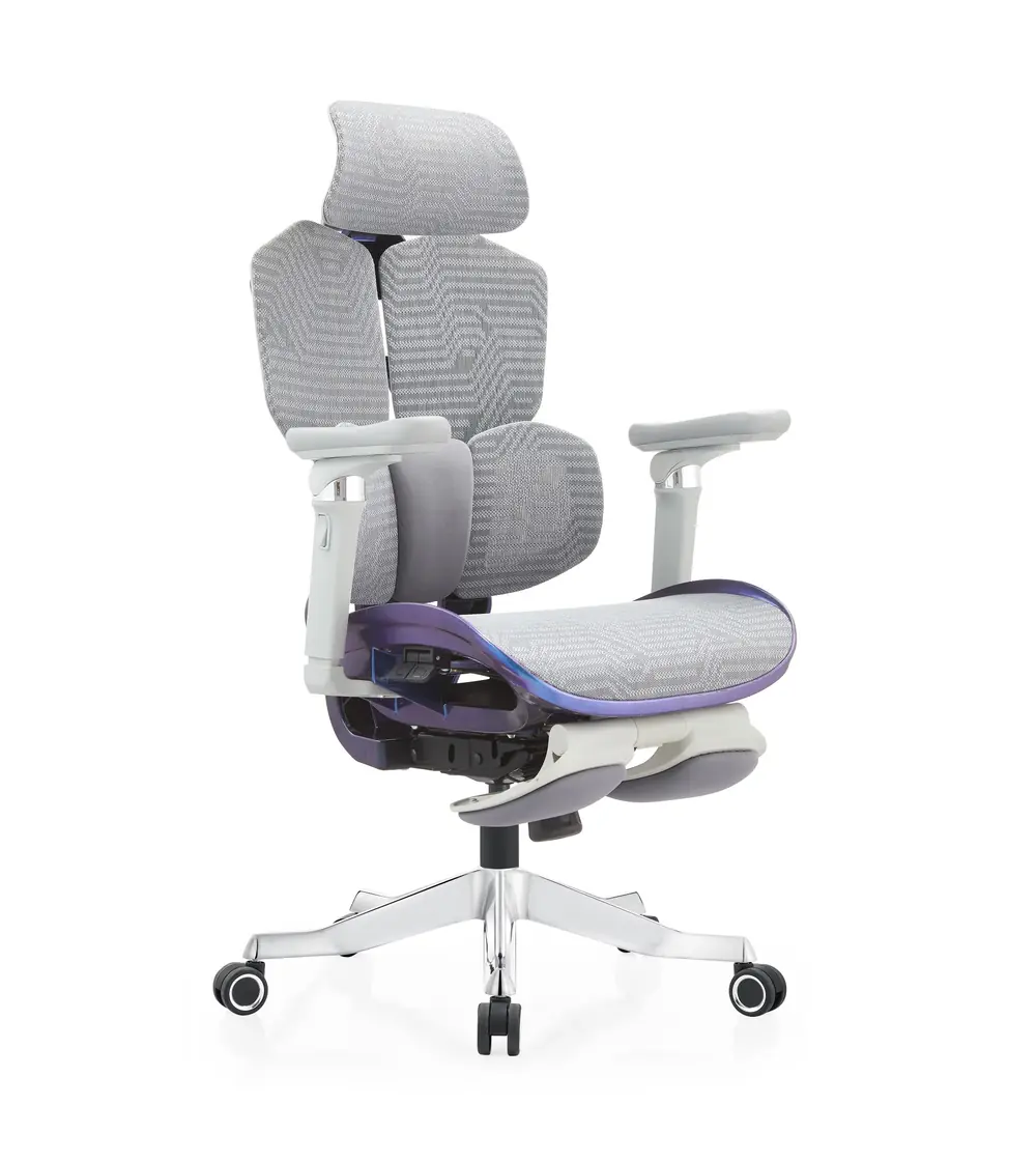 BT-FQ gray-frame chameleon ergonomic mesh chair with footrest
