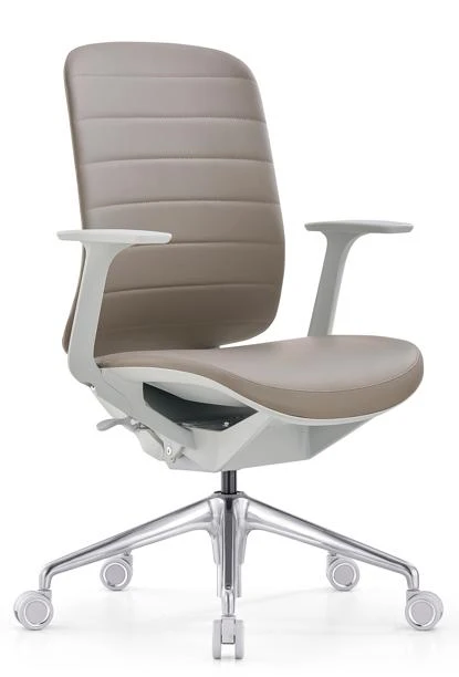 DHX-206BG-P office chair