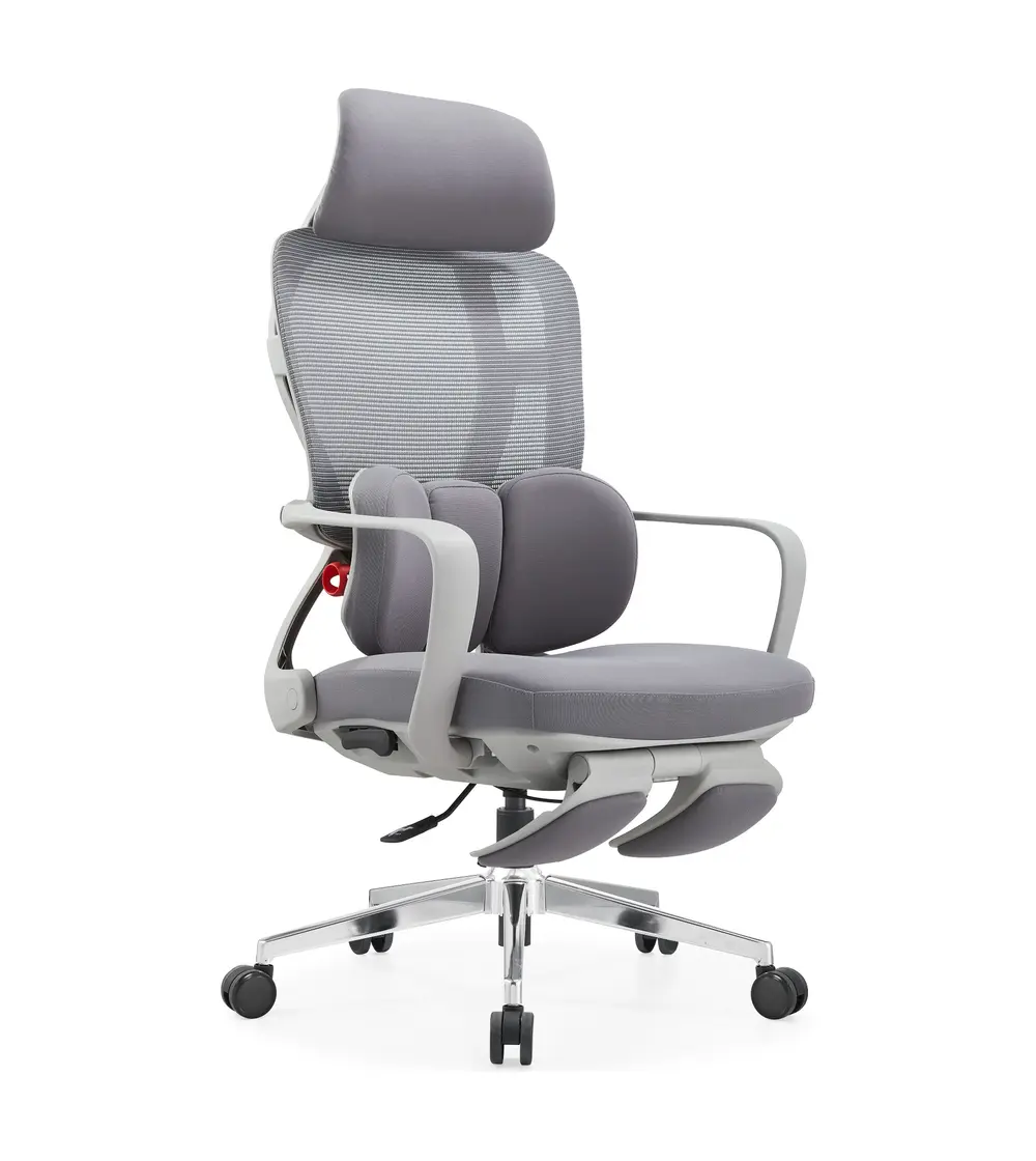 W009-1 gray adaptive dual-back ergonomic office chair with footrest