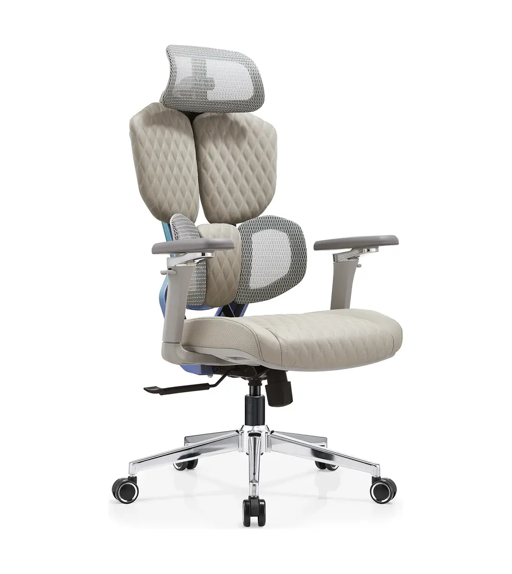 DJ-03 gray gaming-inspired dual-back ergonomic office chair